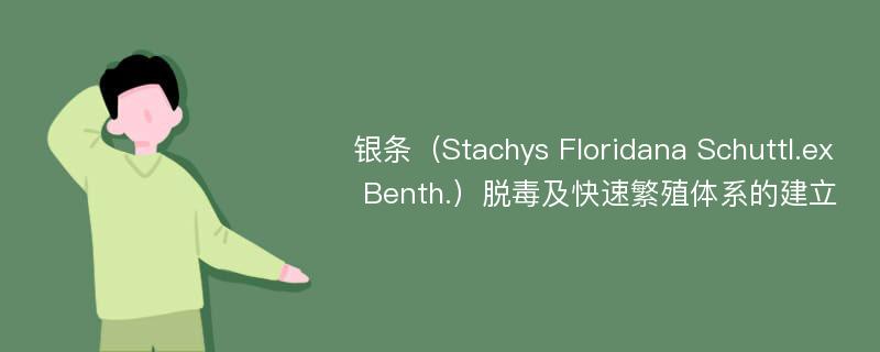 银条（Stachys Floridana Schuttl.ex Benth.）脱毒及快速繁殖体系的建立