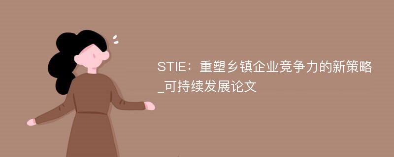 STIE：重塑乡镇企业竞争力的新策略_可持续发展论文