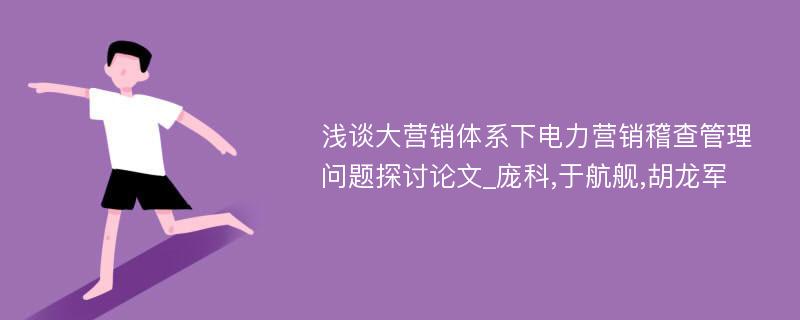 浅谈大营销体系下电力营销稽查管理问题探讨论文_庞科,于航舰,胡龙军