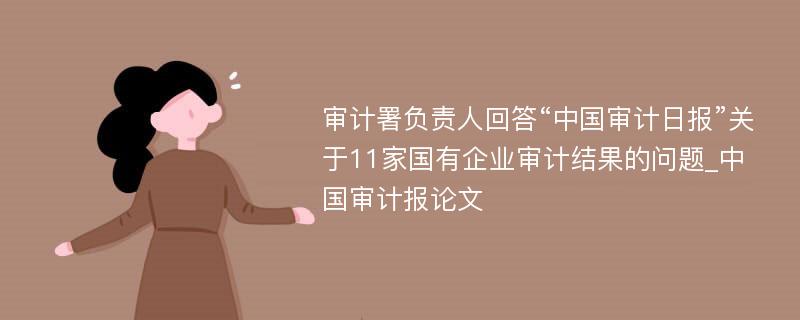 审计署负责人回答“中国审计日报”关于11家国有企业审计结果的问题_中国审计报论文