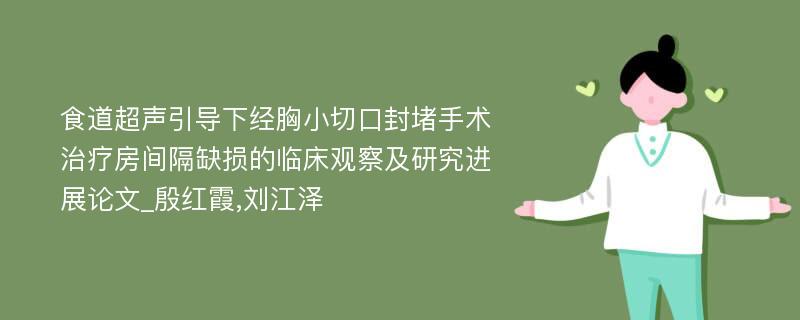 食道超声引导下经胸小切口封堵手术治疗房间隔缺损的临床观察及研究进展论文_殷红霞,刘江泽