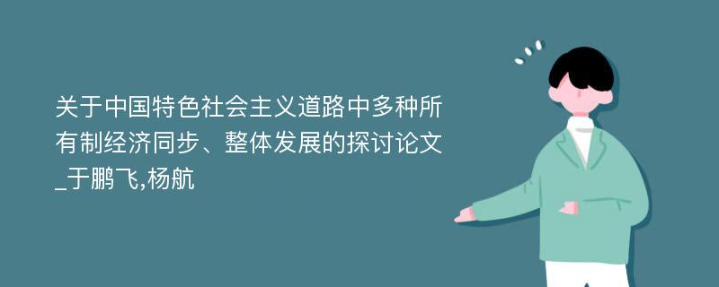 关于中国特色社会主义道路中多种所有制经济同步、整体发展的探讨论文_于鹏飞,杨航