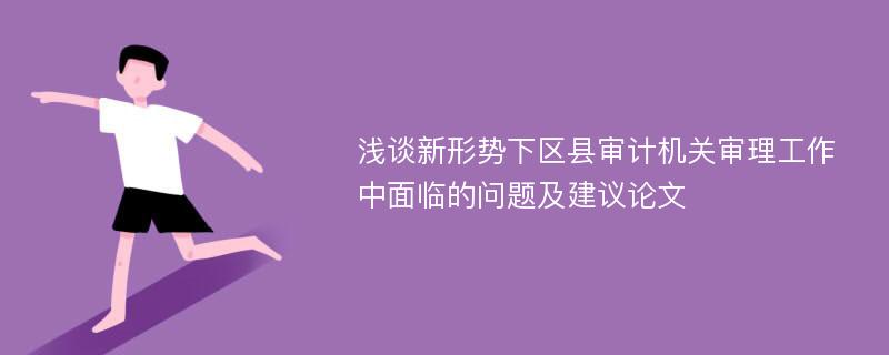 浅谈新形势下区县审计机关审理工作中面临的问题及建议论文