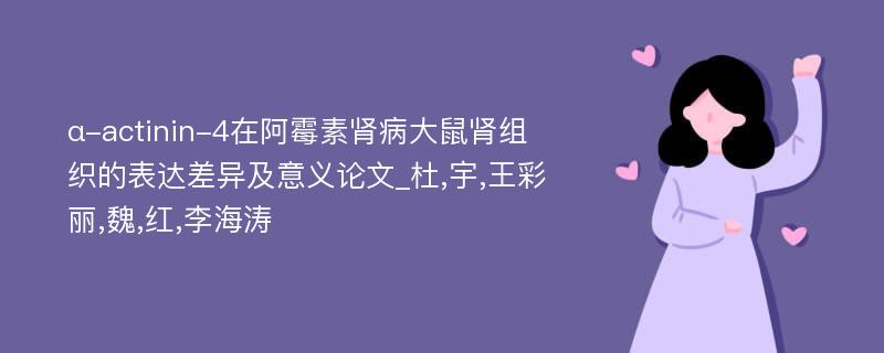 α-actinin-4在阿霉素肾病大鼠肾组织的表达差异及意义论文_杜,宇,王彩丽,魏,红,李海涛