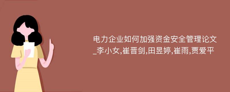 电力企业如何加强资金安全管理论文_李小女,崔晋剑,田昱婷,崔雨,贾爱平