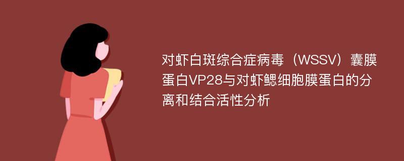 对虾白斑综合症病毒（WSSV）囊膜蛋白VP28与对虾鳃细胞膜蛋白的分离和结合活性分析