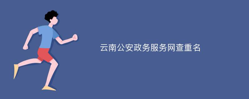 云南公安政务服务网查重名