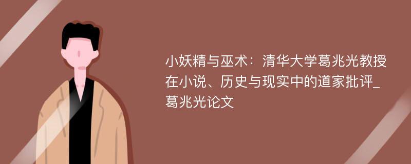 小妖精与巫术：清华大学葛兆光教授在小说、历史与现实中的道家批评_葛兆光论文