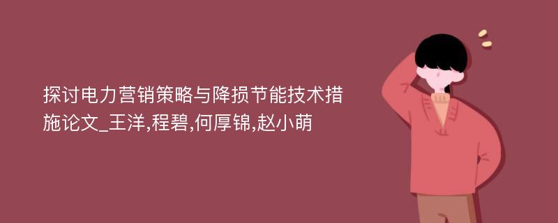 探讨电力营销策略与降损节能技术措施论文_王洋,程碧,何厚锦,赵小萌