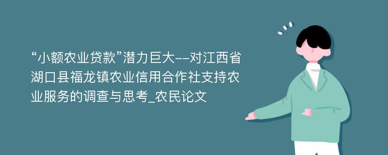 “小额农业贷款”潜力巨大--对江西省湖口县福龙镇农业信用合作社支持农业服务的调查与思考_农民论文