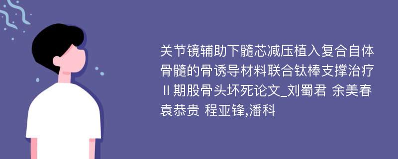 关节镜辅助下髓芯减压植入复合自体骨髓的骨诱导材料联合钛棒支撑治疗Ⅱ期股骨头坏死论文_刘蜀君 余美春 袁恭贵 程亚锋,潘科